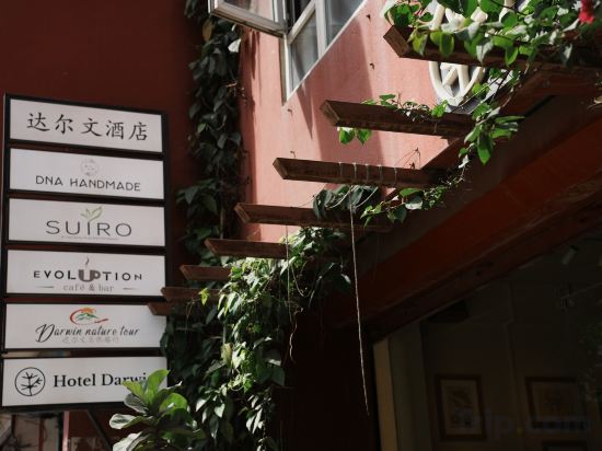Фото Отель Darwin