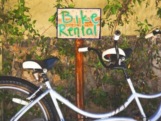 Фото Hotel Villas Flamingos