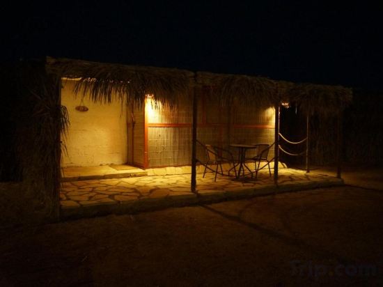 Фото 45382531026