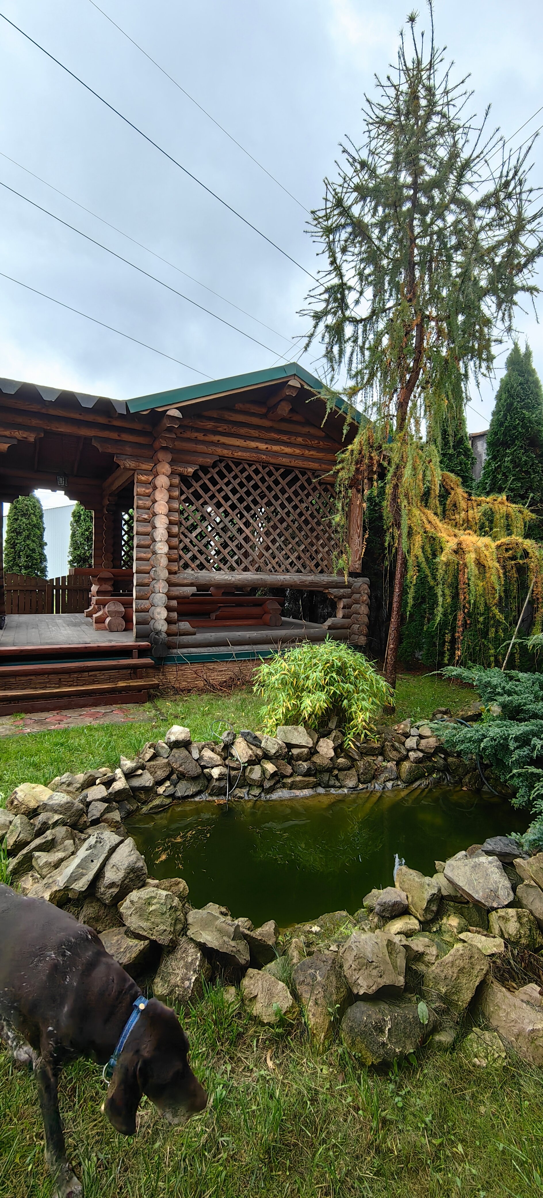 Фото Лукоморье