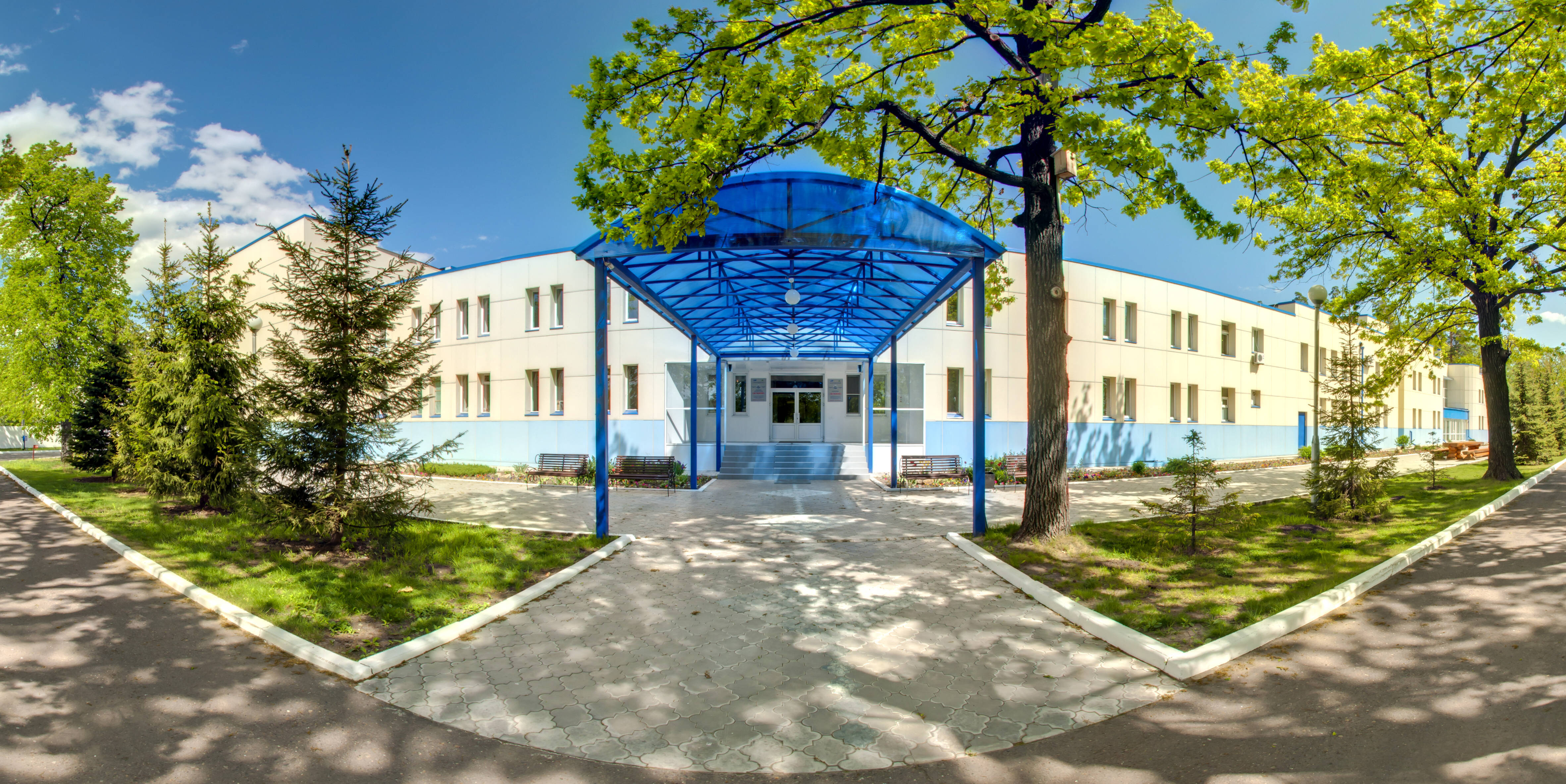 Фото Дельфин