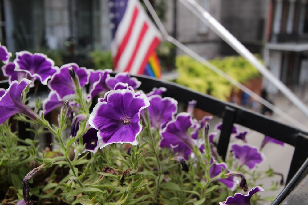 Фото Andrew Jackson Hotel French Quarter