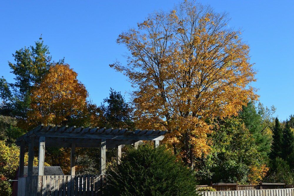 Фото Hollow Inn and Motel