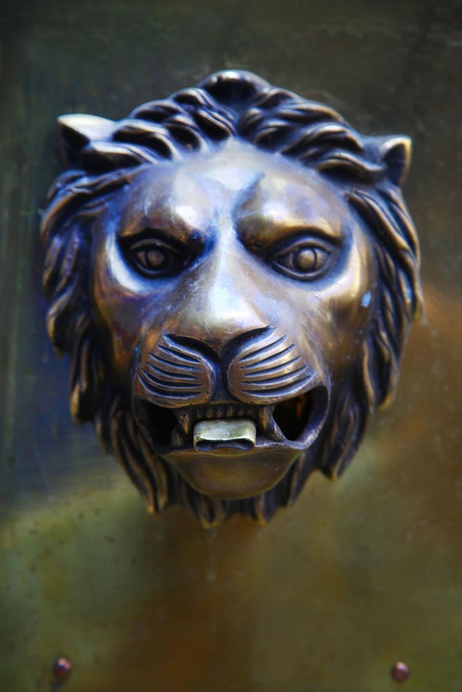 Фото The Grey Hotel