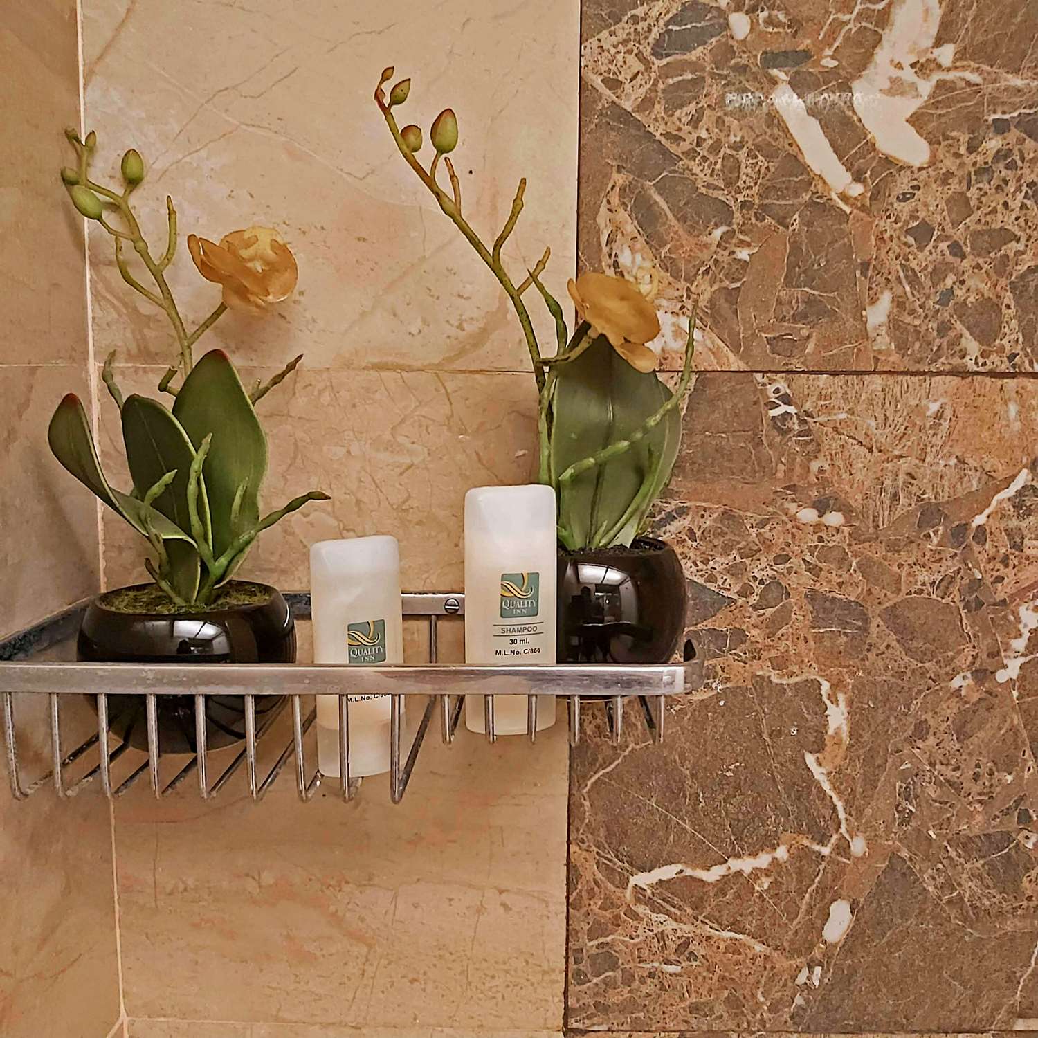 Фото Quality Inn Mint