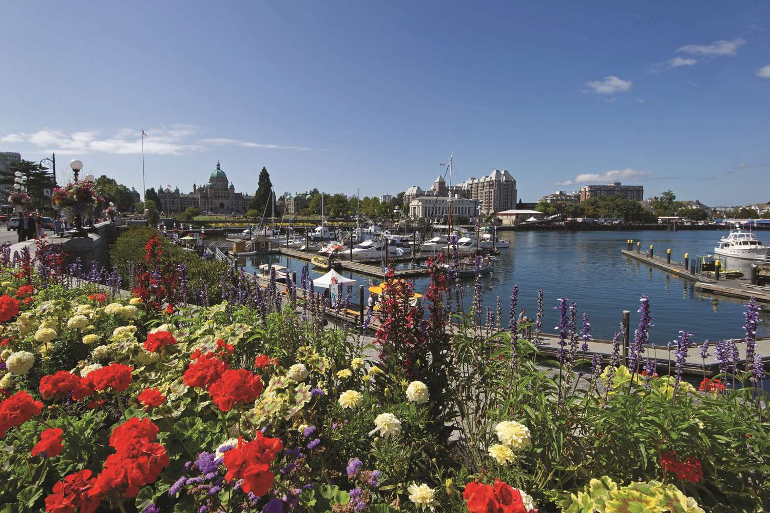 Фото DoubleTree by Hilton Hotel & Suites Victoria