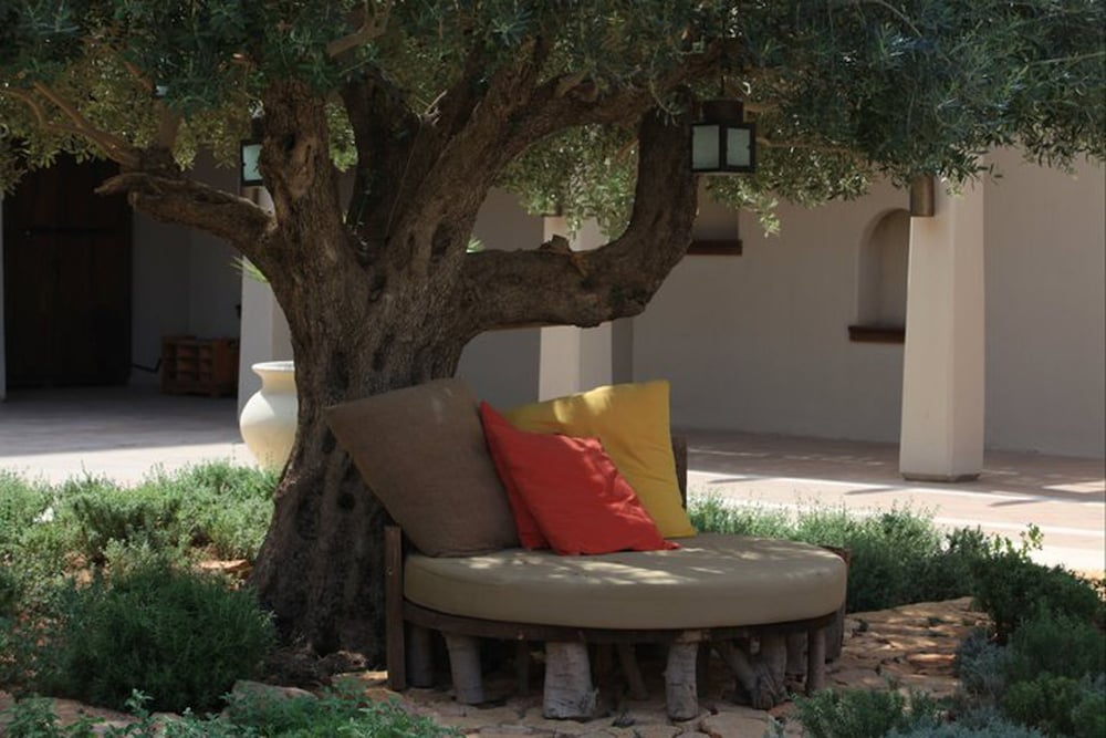 Фото Ma'In Hot Springs