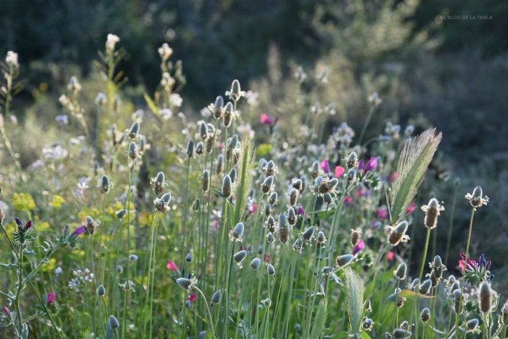 Фото Hotel an der Sonne