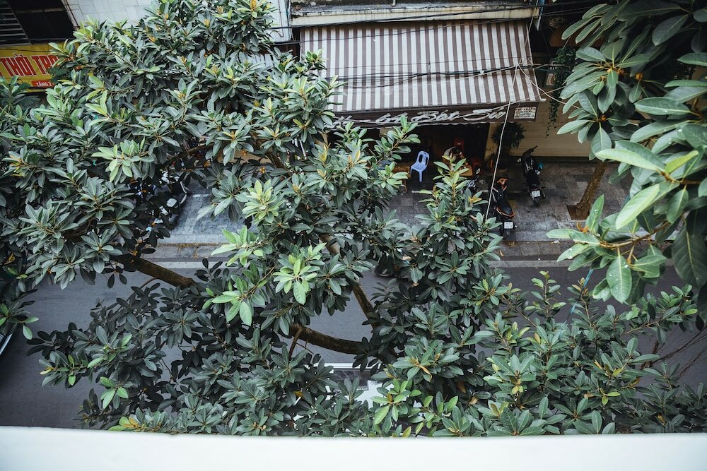 Фото Hanoi City Backpackers Hostel