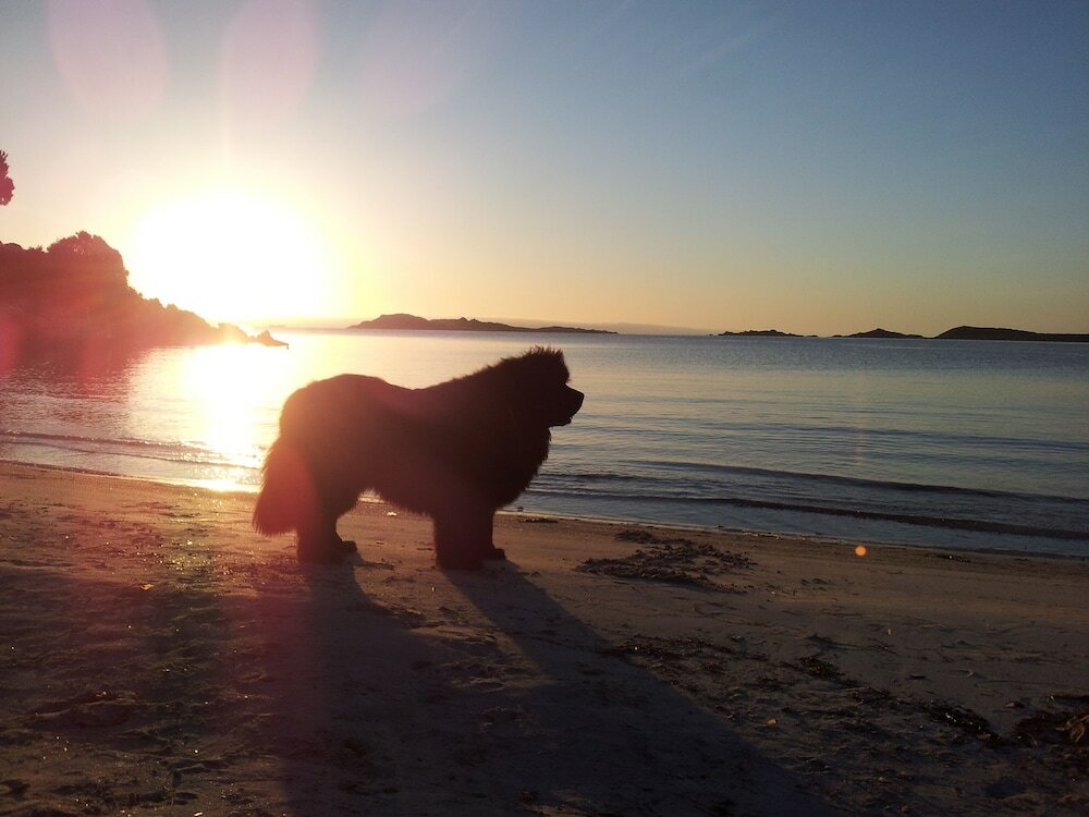 Фото Residenza Capriccioli