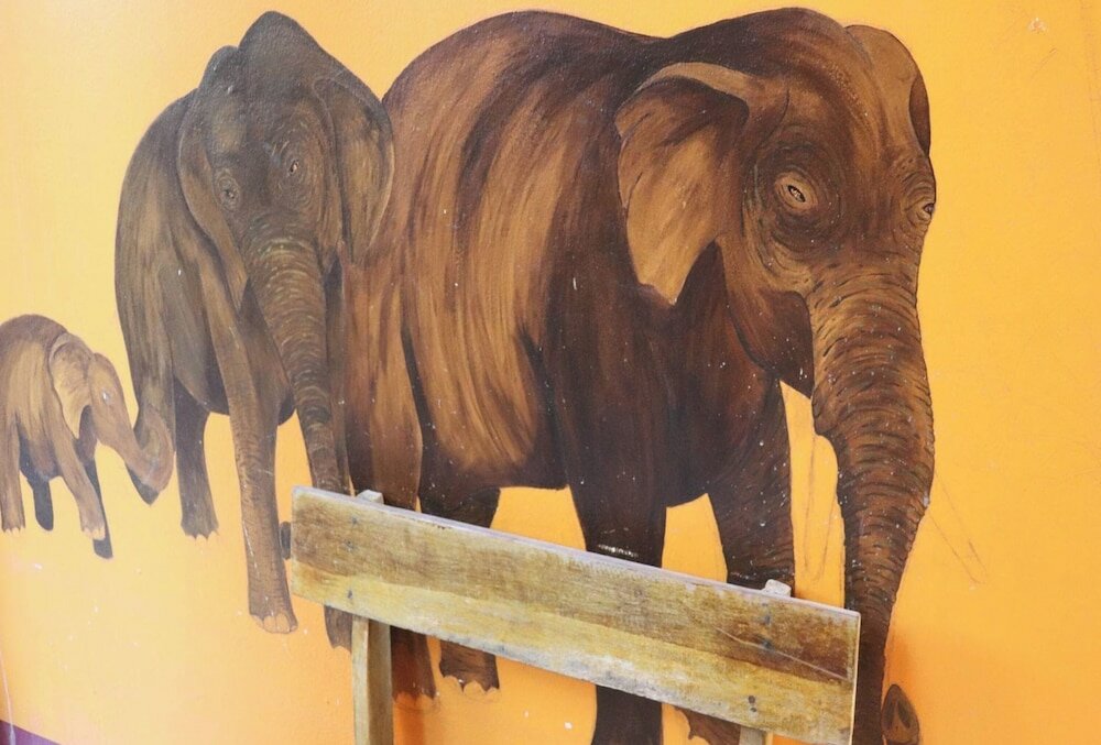 Фото Trekker Camp Chiang Mai Hostel