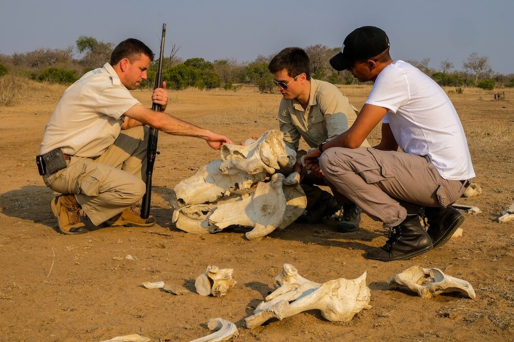 Фото 158997887249