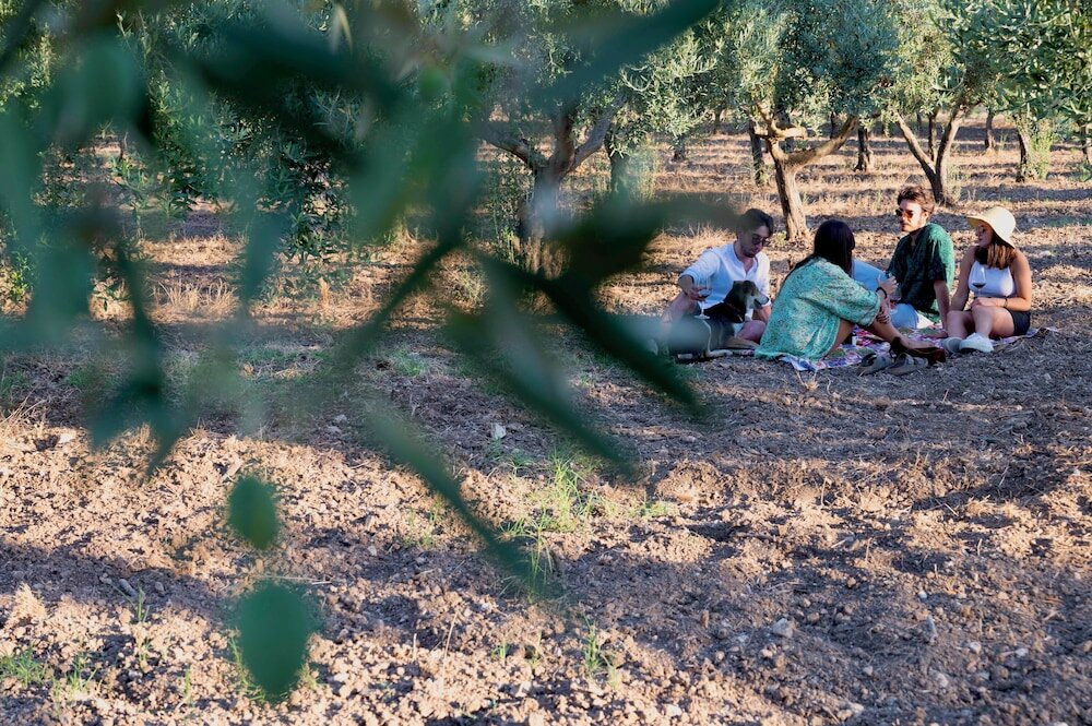 Фото Oikos in Terre di Zaccanello