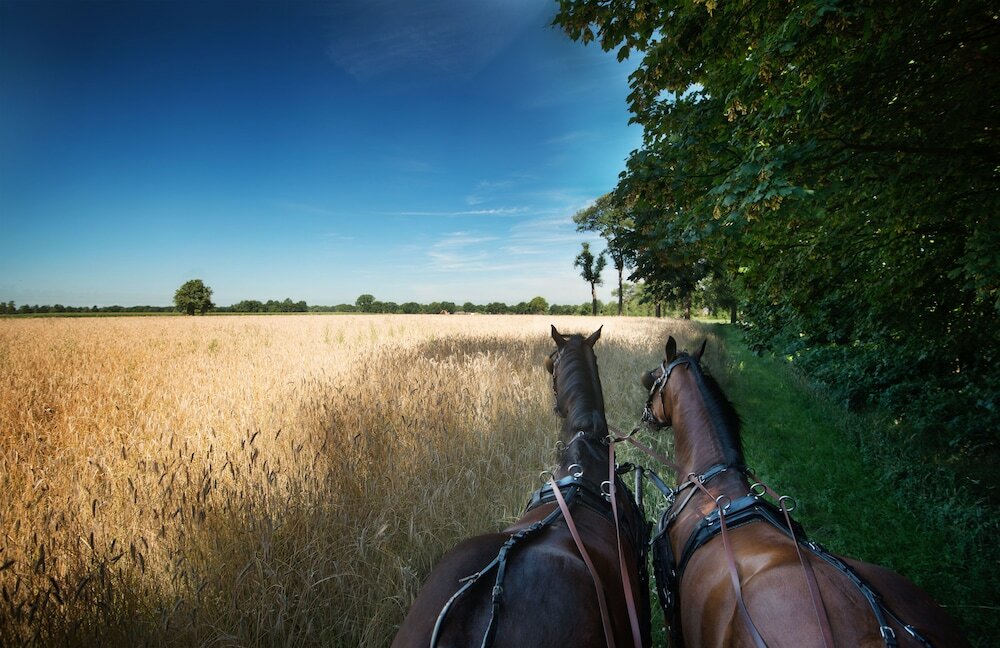 Фото Van der Valk Theaterhotel Almelo
