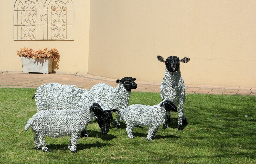 Фото Del Roza Guest House