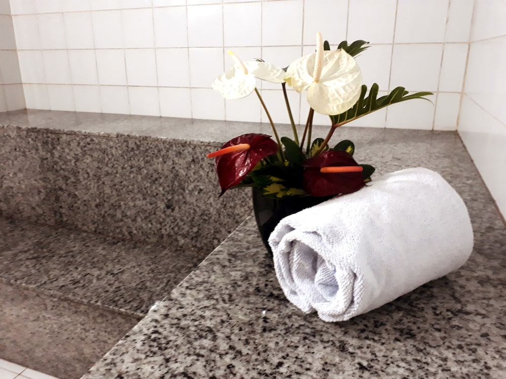 Фото Mercure Salvador Rio Vermelho