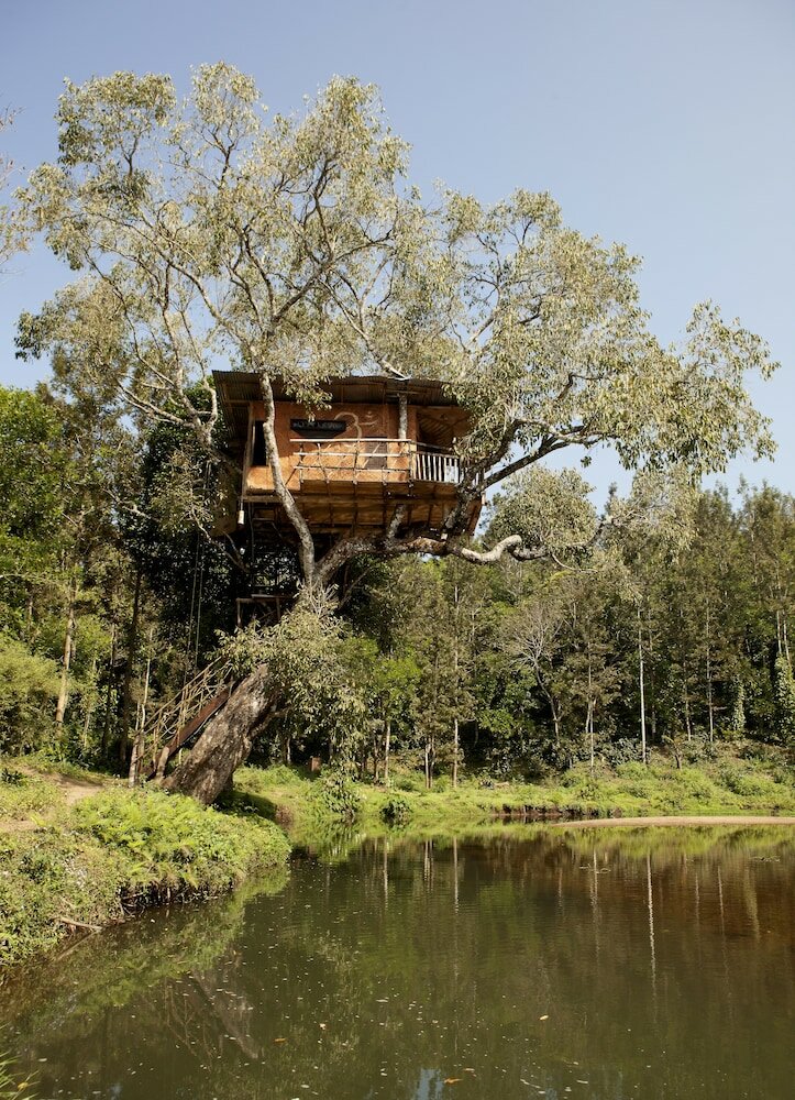 Фото Elephant Valley