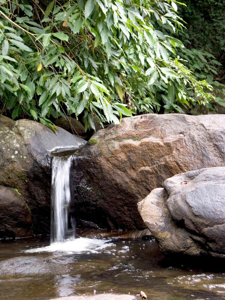 Фото Elephant Valley