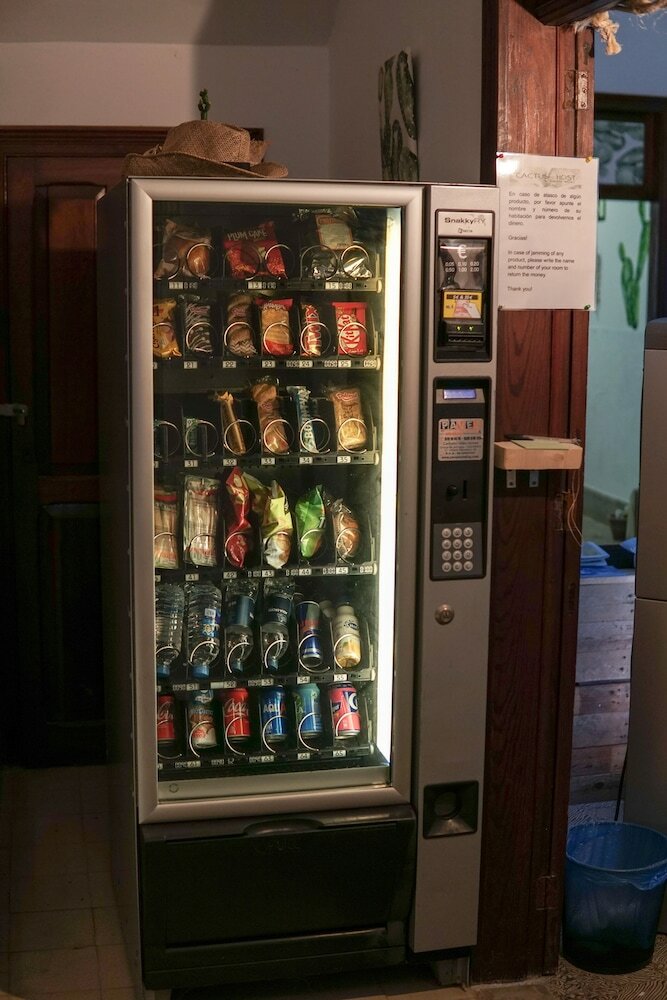 Фото Cactus Host