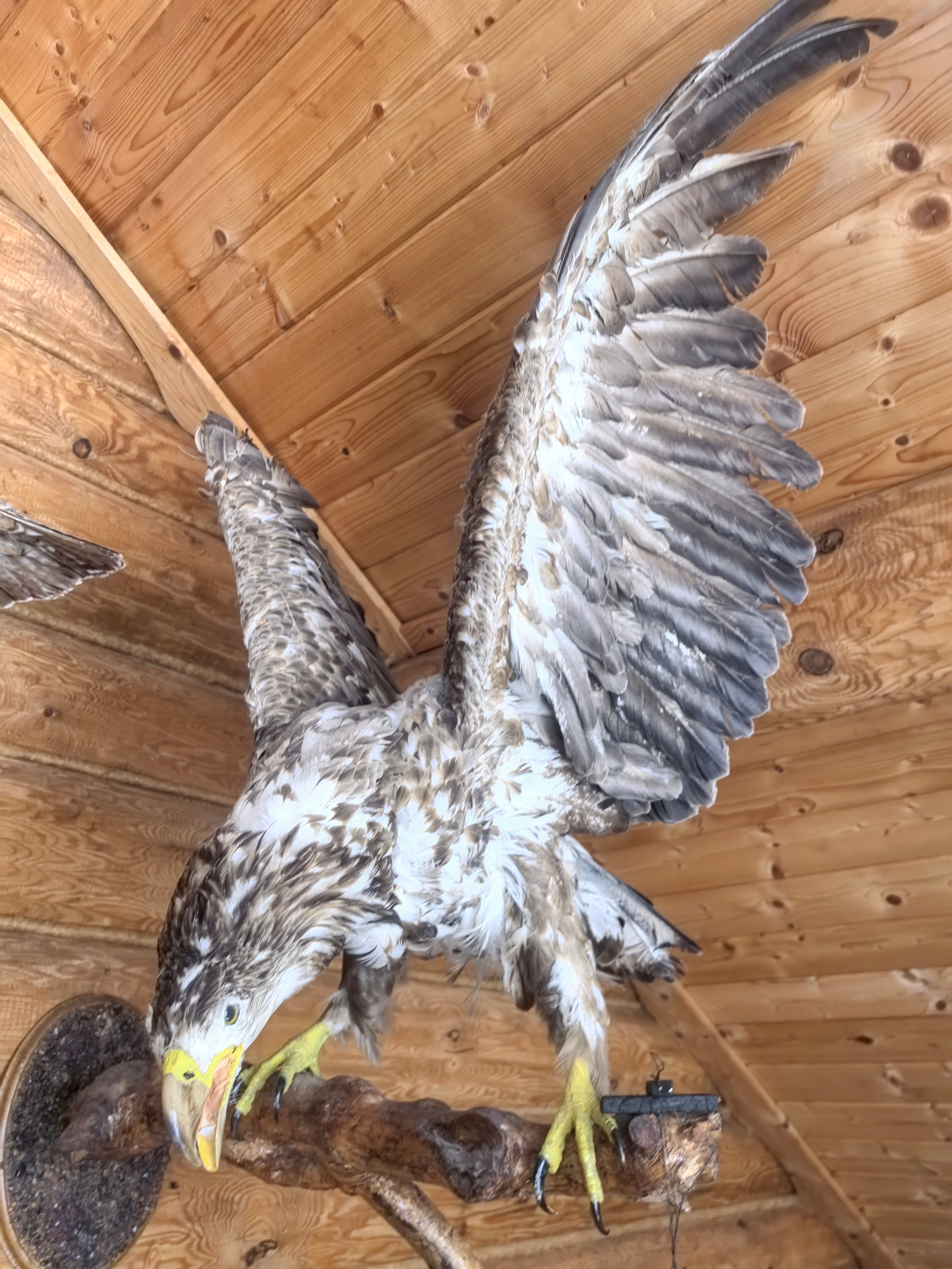 Фото Дом у Озера