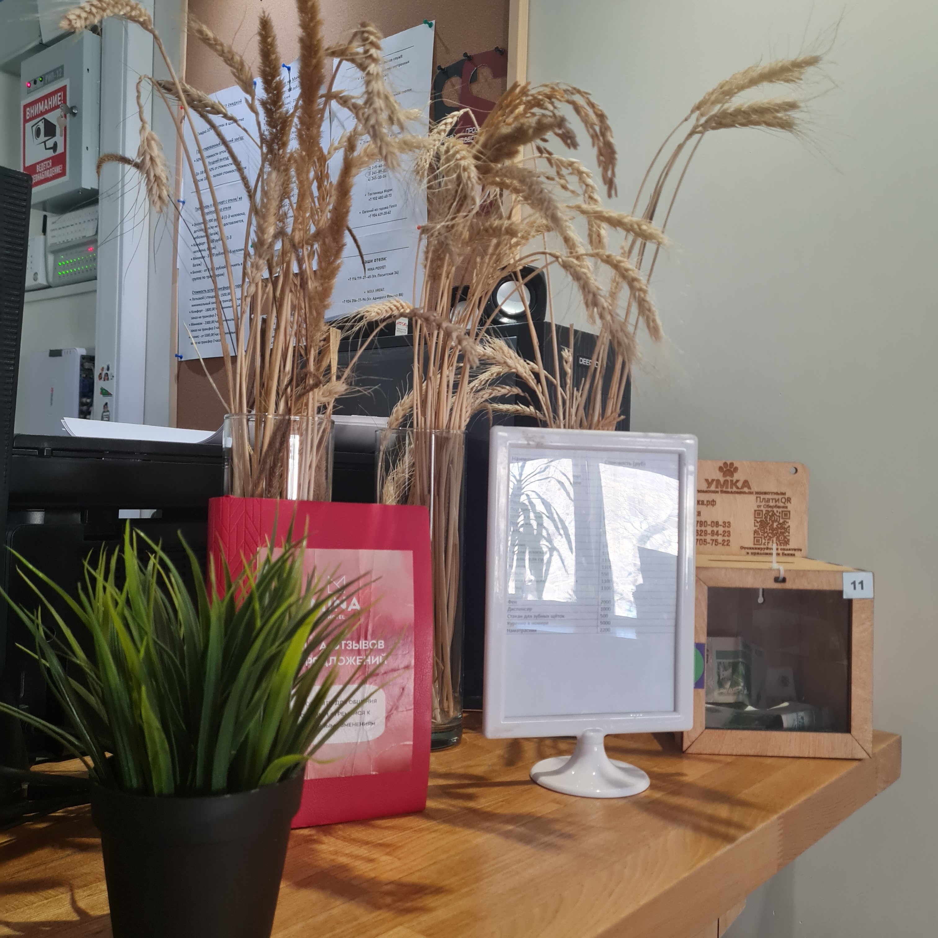 Фото Mina Pos'yet