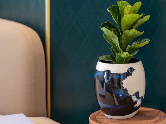 Фото Le Friedland