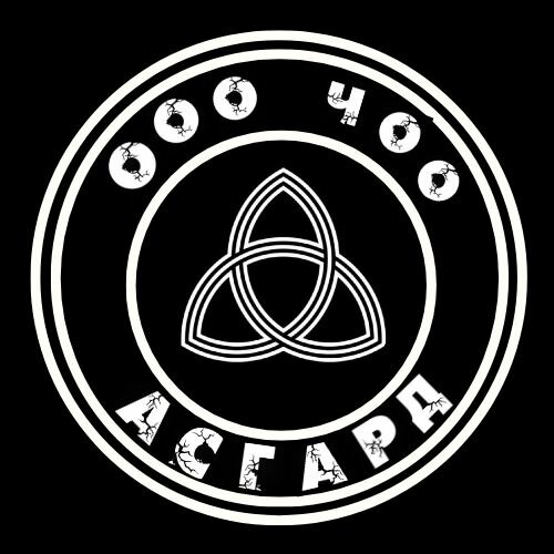 Security company ЧОО Асгард, Kazan, photo