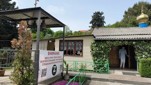 Church of the Holy Prince Alexander Nevsky (село Весёлое, улица Мира, 12/1), orthodox church