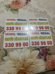 Cankaya Vestel Regal Technical Service (Ankara Province, Cankaya District, Birlik Mah., 391. Cad., 6), appliance repair