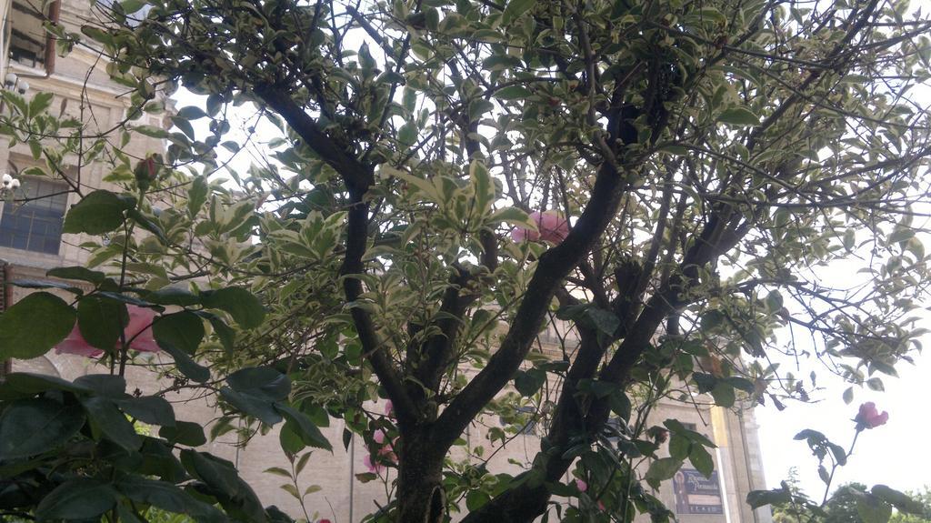 Фото Porziuncola