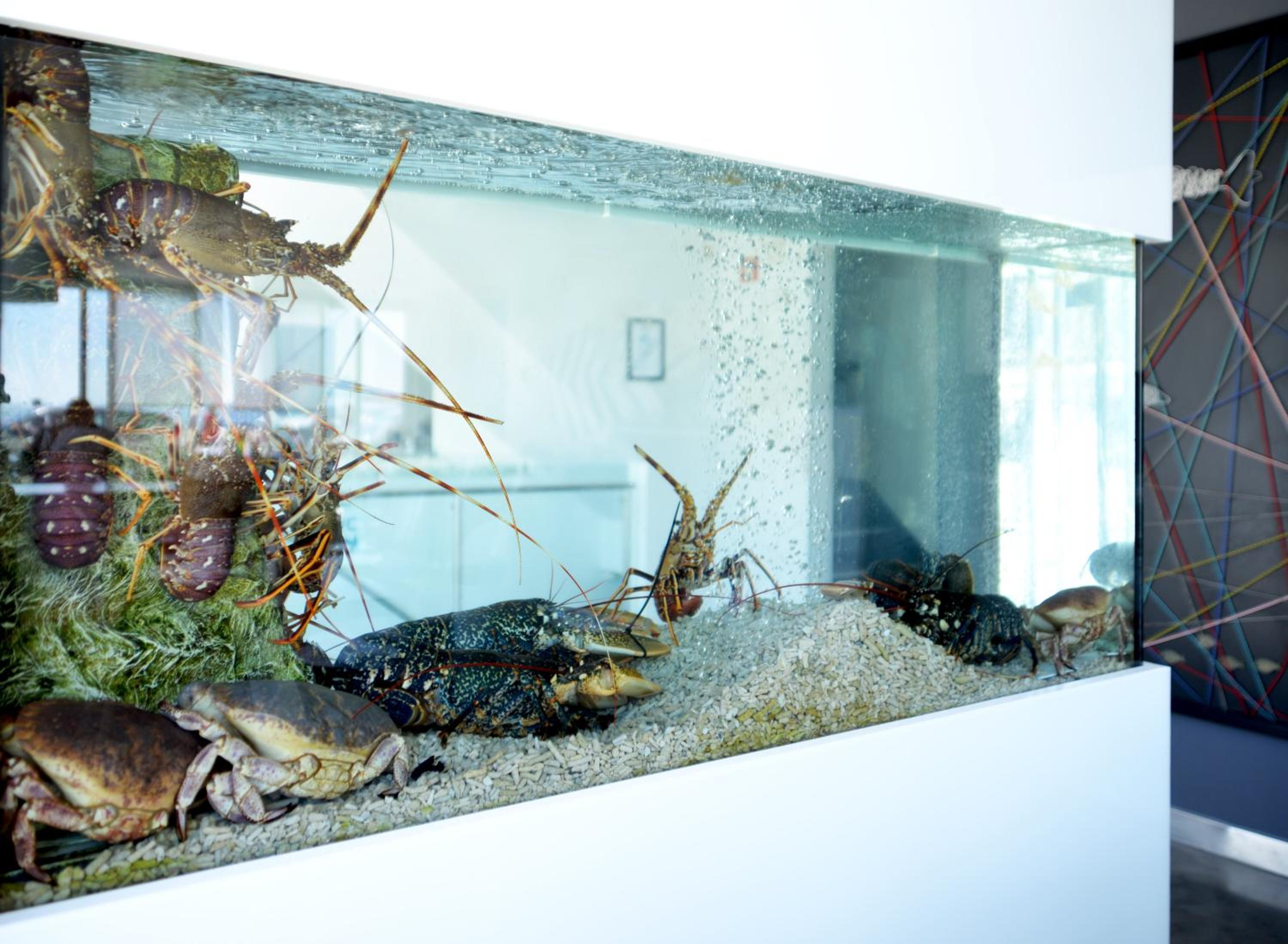 Фото Hotel Mar Bravo