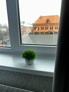 Сердце Кубани