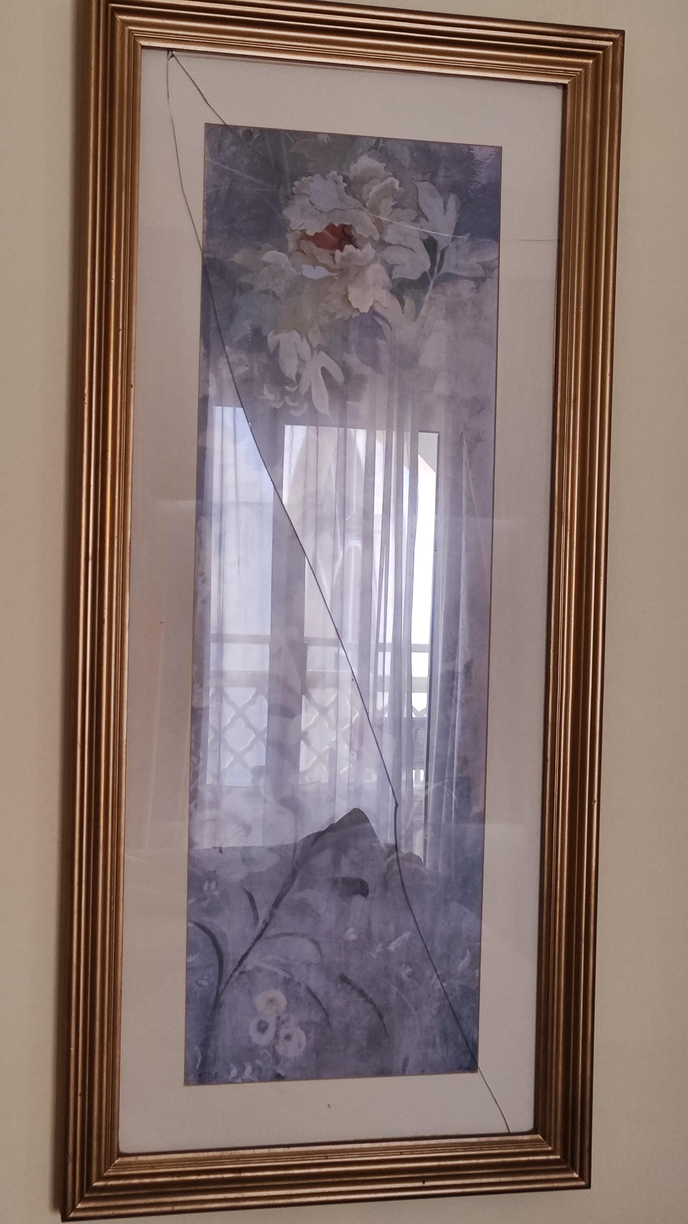 Фото 64596178755