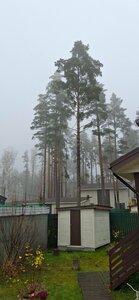 Дом на поляне