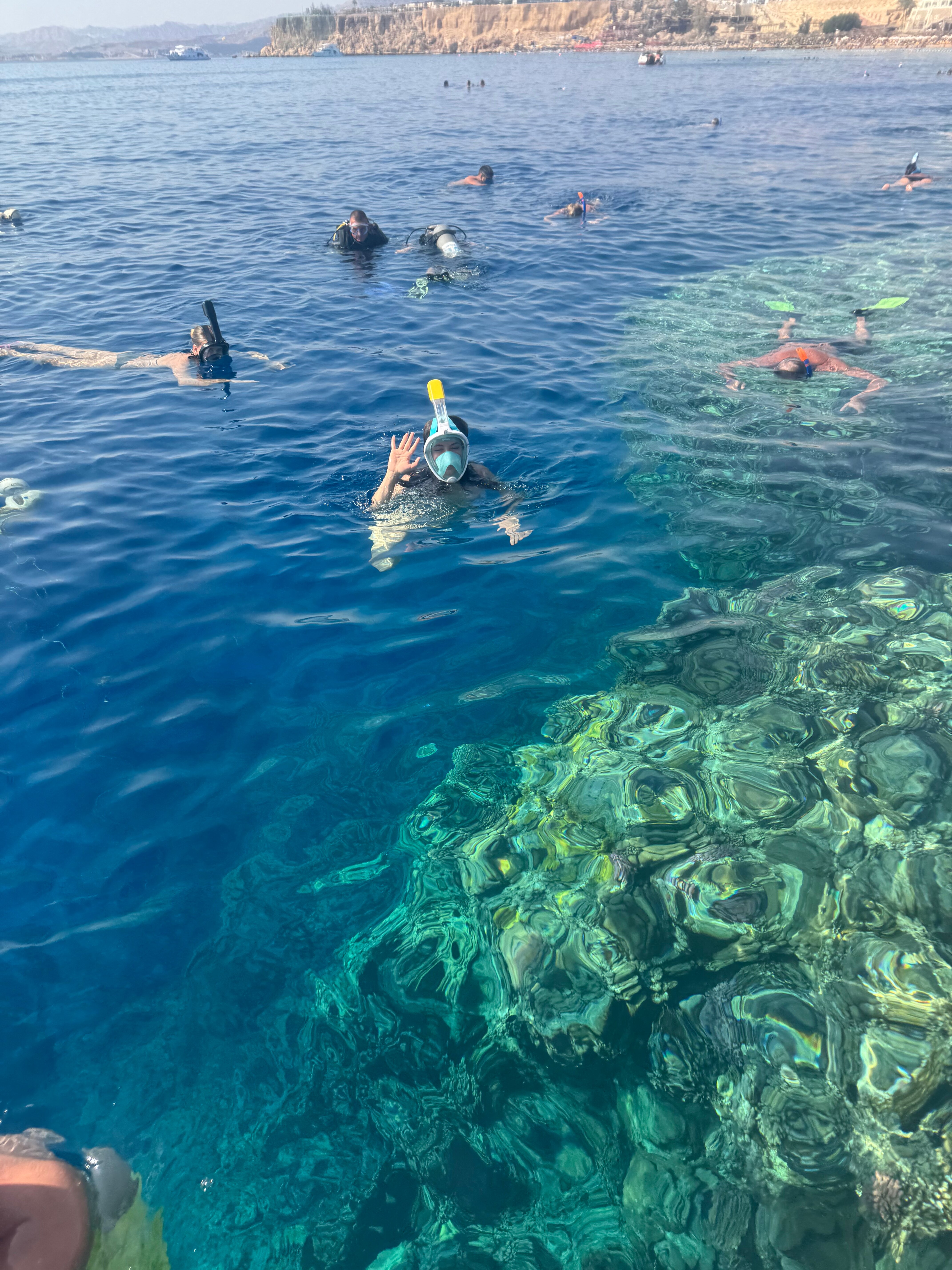 Фото Dive Inn Resort