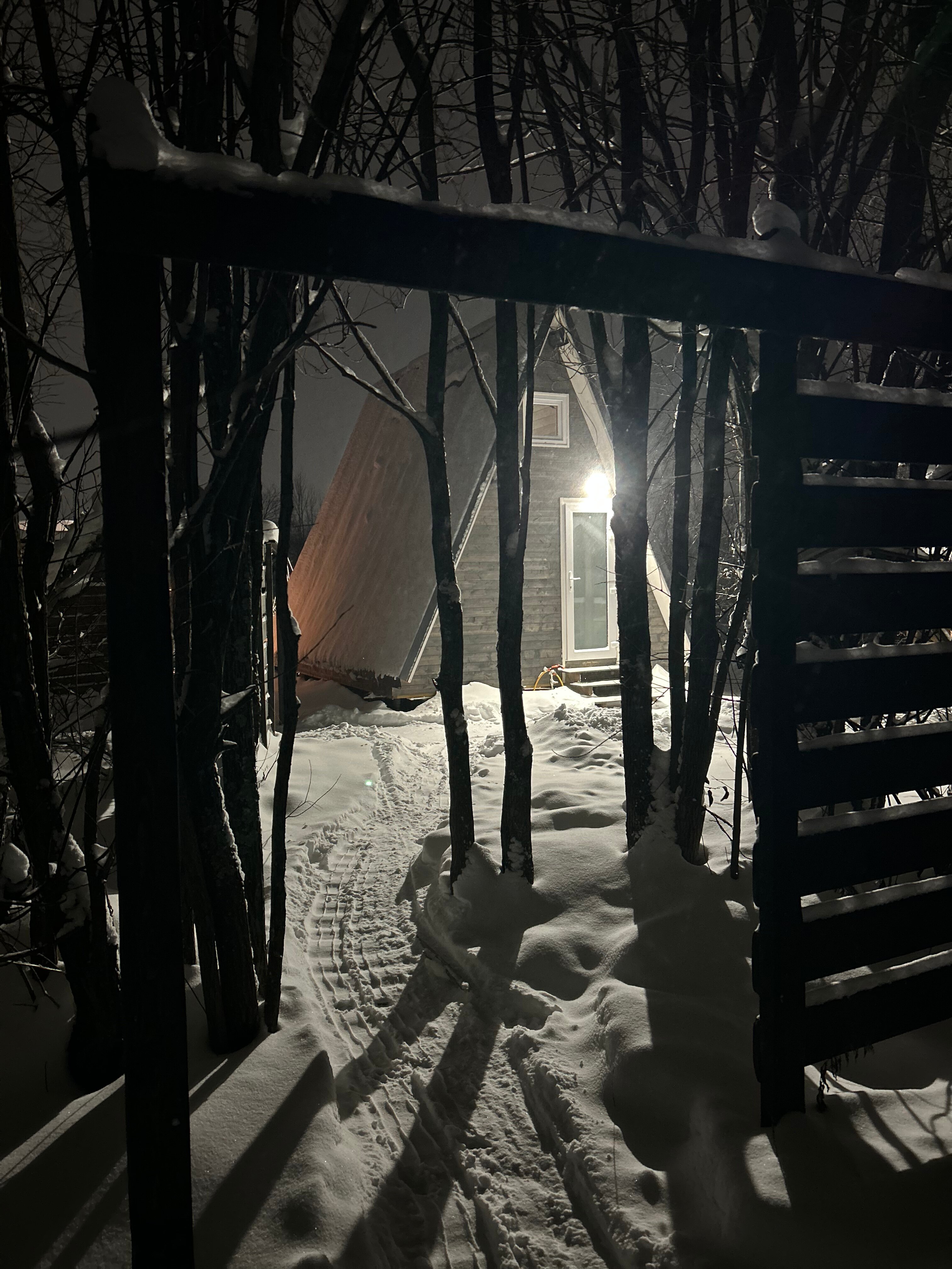 Фото Дельта