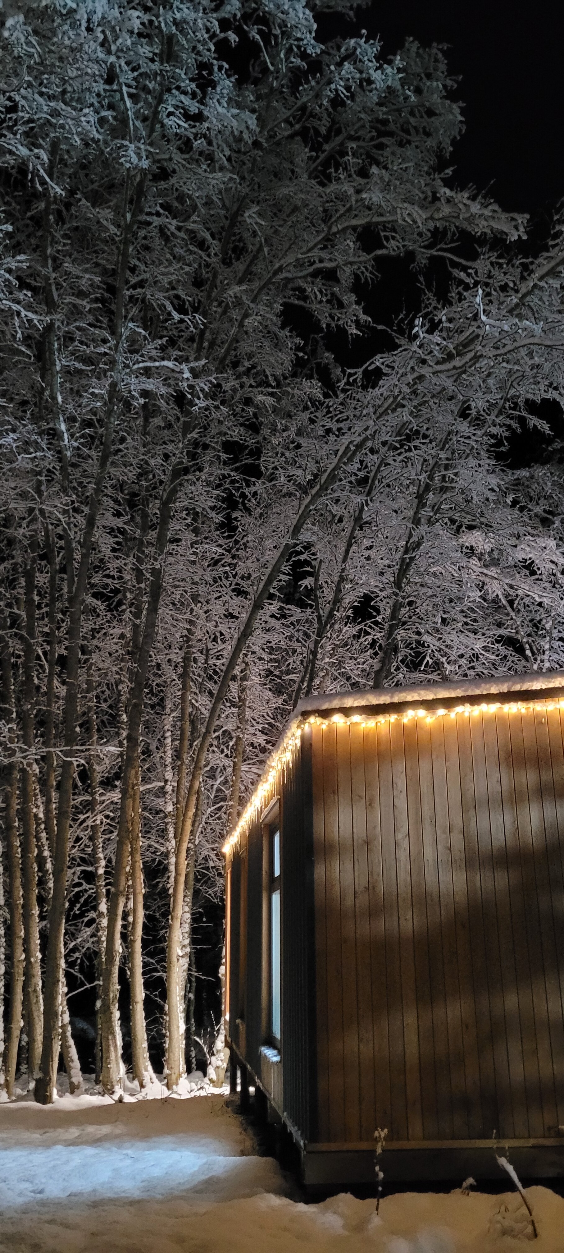 Фото Аскелма