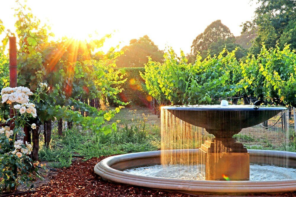 Фото Napa Valley Lodge