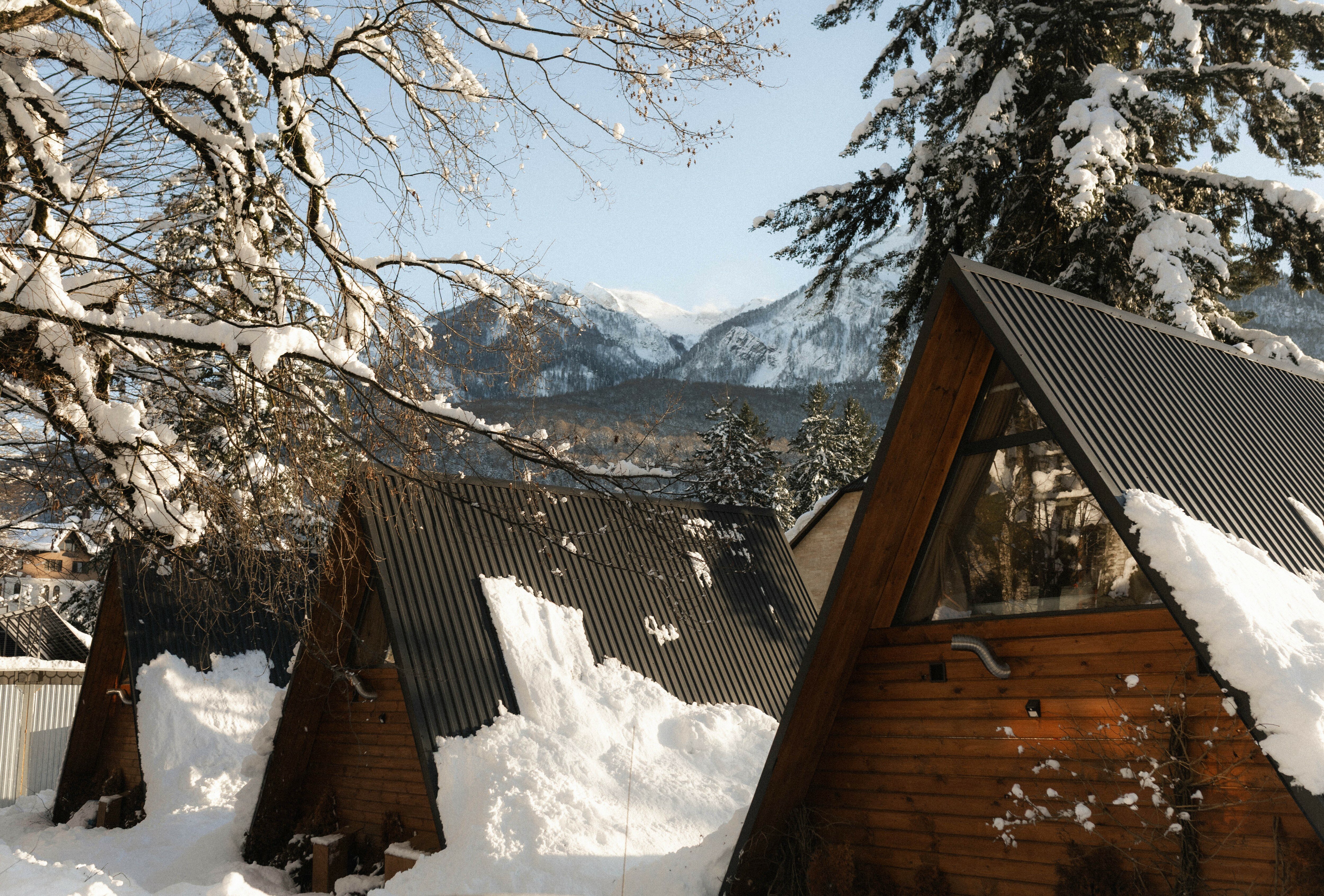 Фото Экосказка