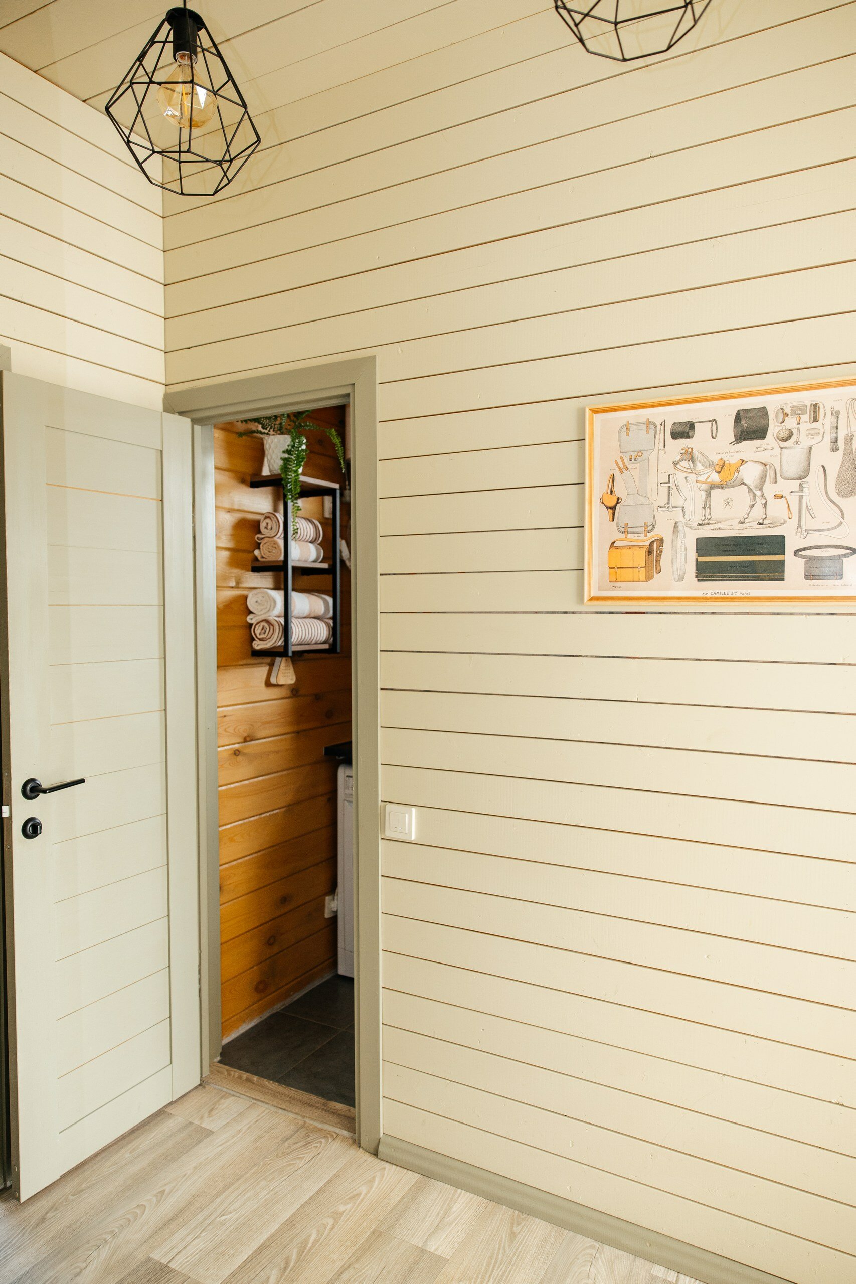 Фото Аврора