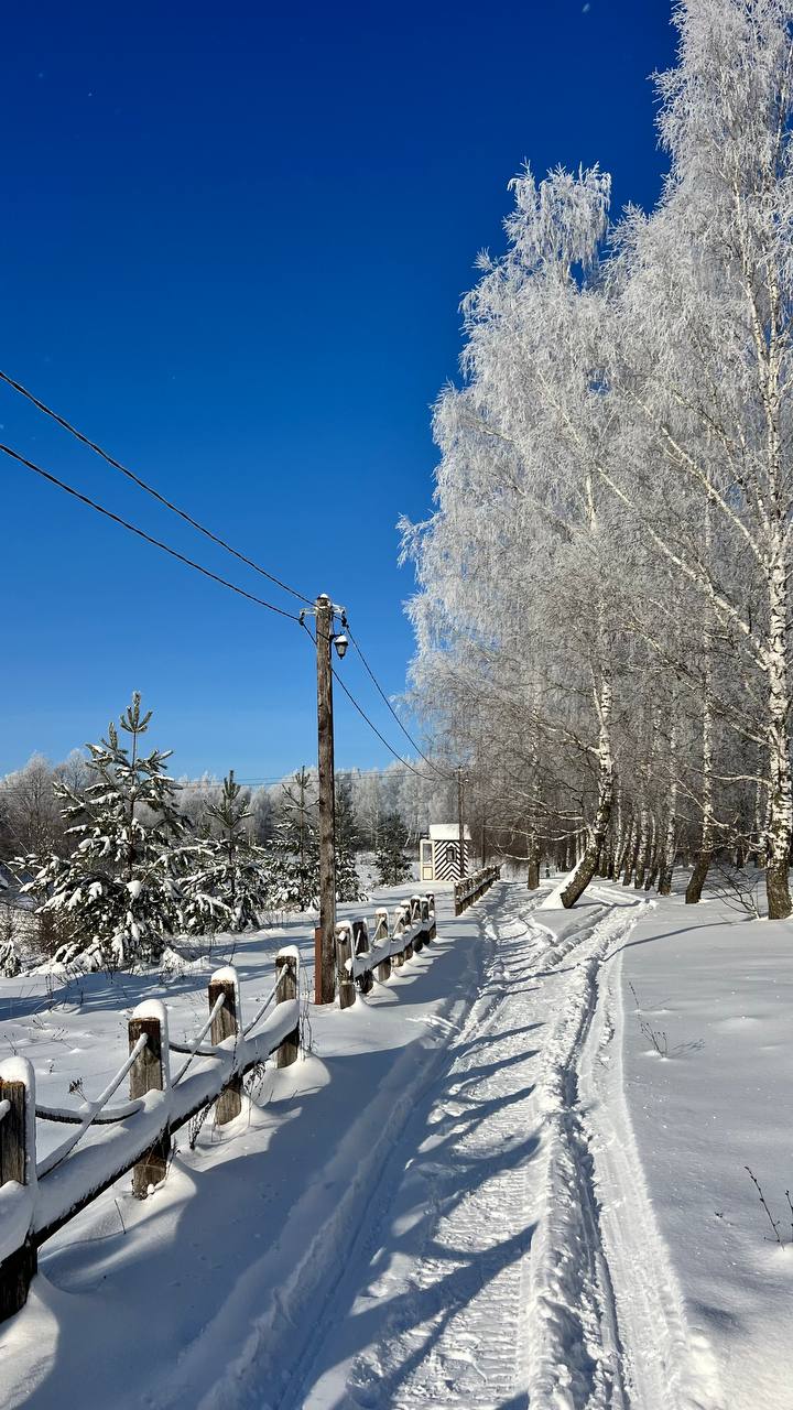Фото Лапочкино гнездо Дома на деревьях