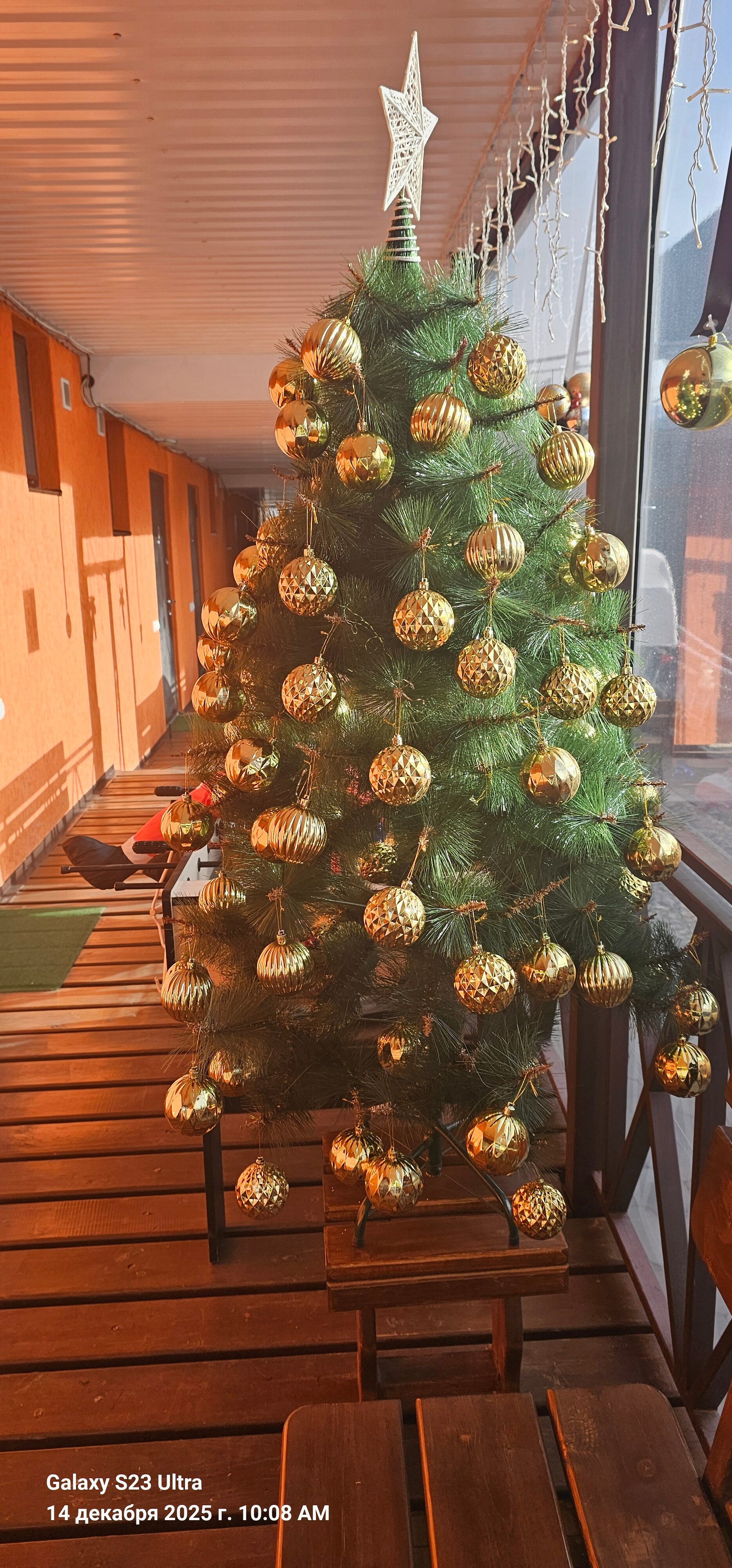 Фото Родина