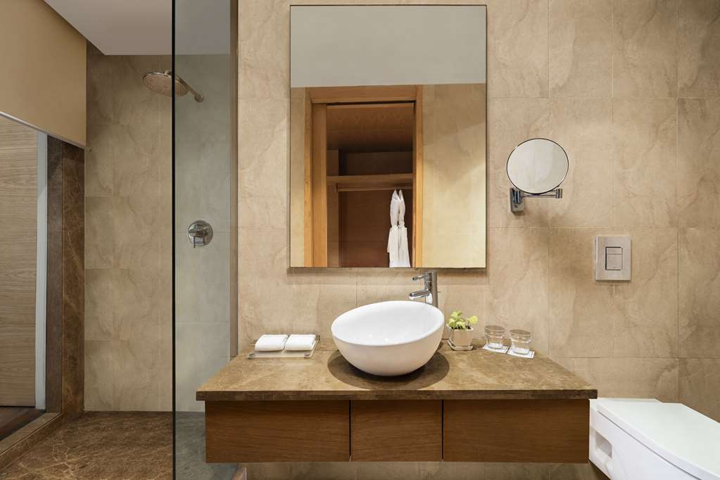 Фото Radisson Blu Hotel, New Delhi Dwarka