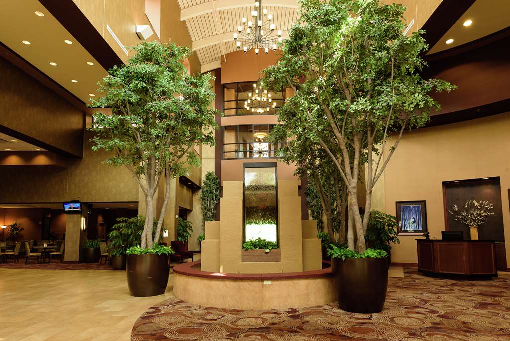 Фото Embassy Suites by Hilton Minneapolis North
