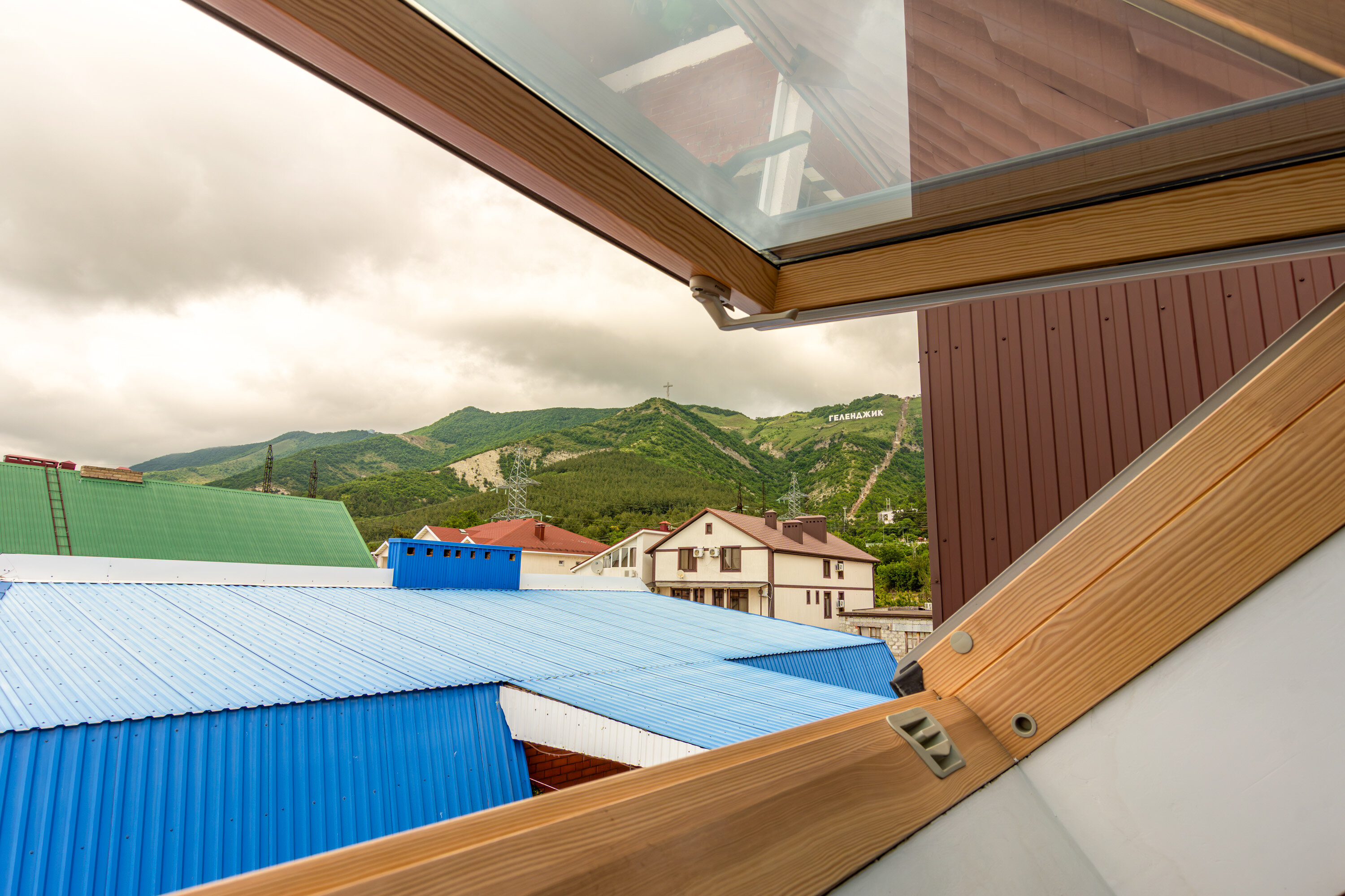 Фото Кипарис