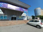 Flower studio (Krasnoarmeyskaya Street, 126), organization of events