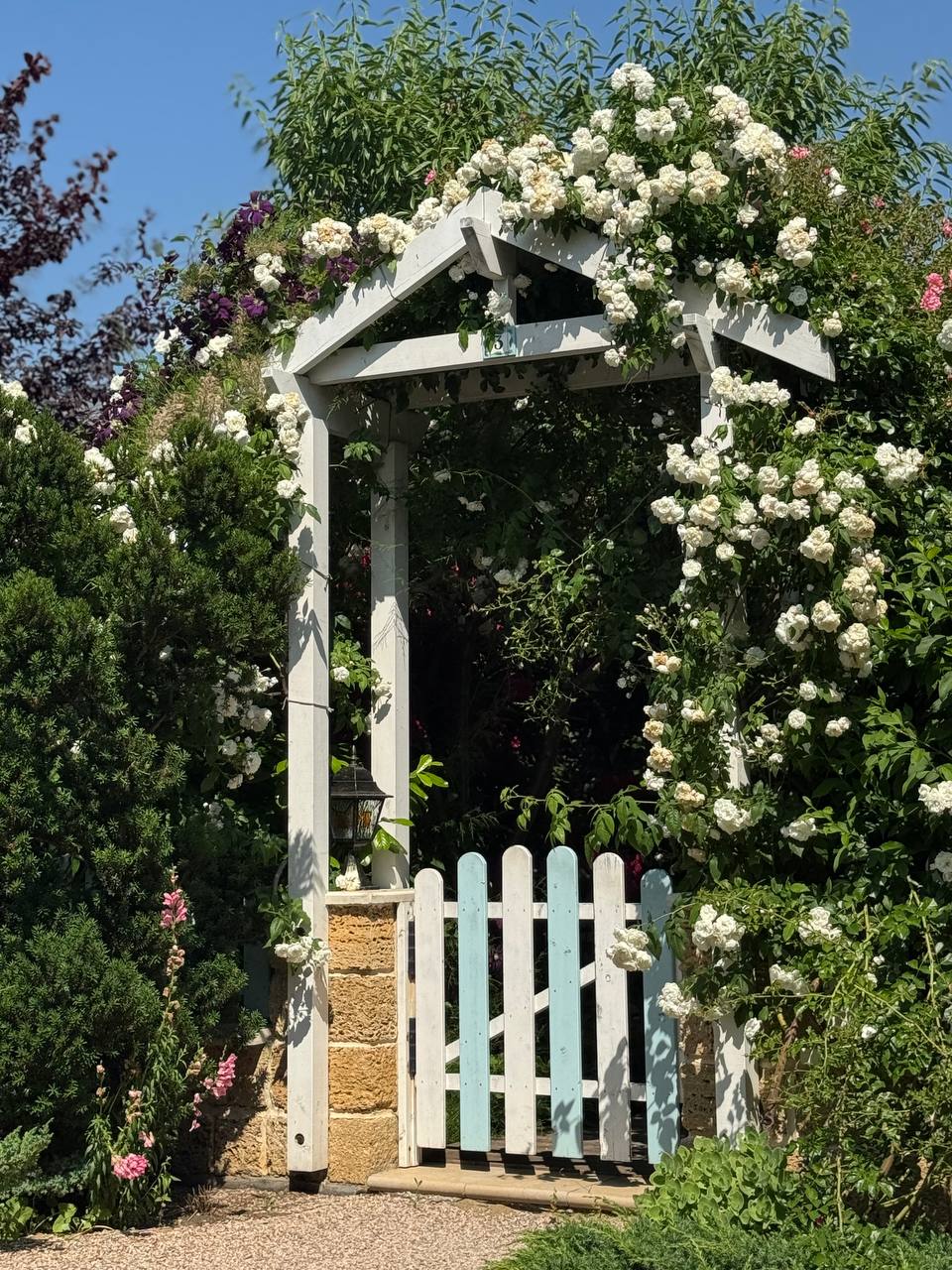 Фото Villa Romanov Wine Club & SPA