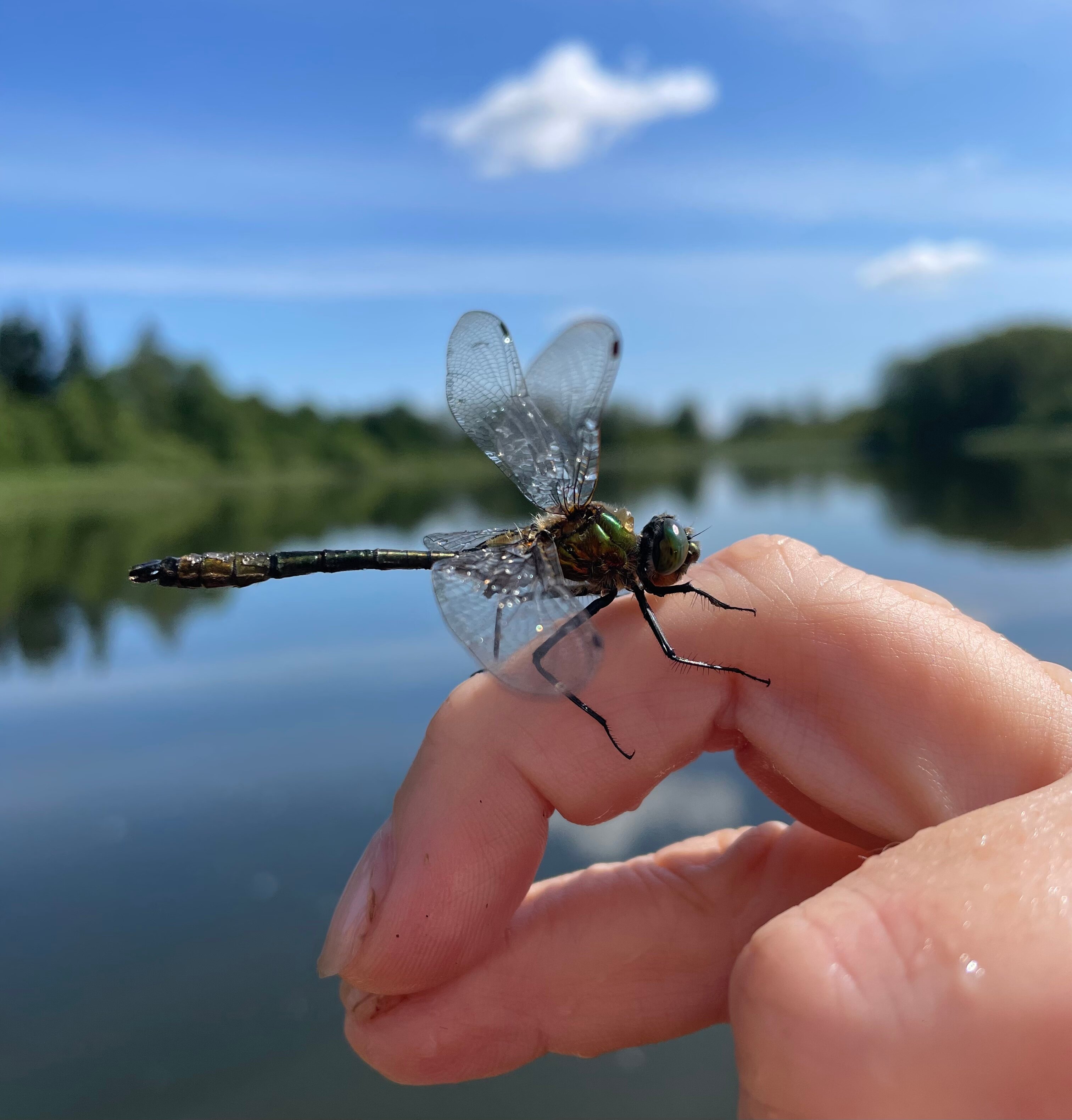 Фото Шаргора