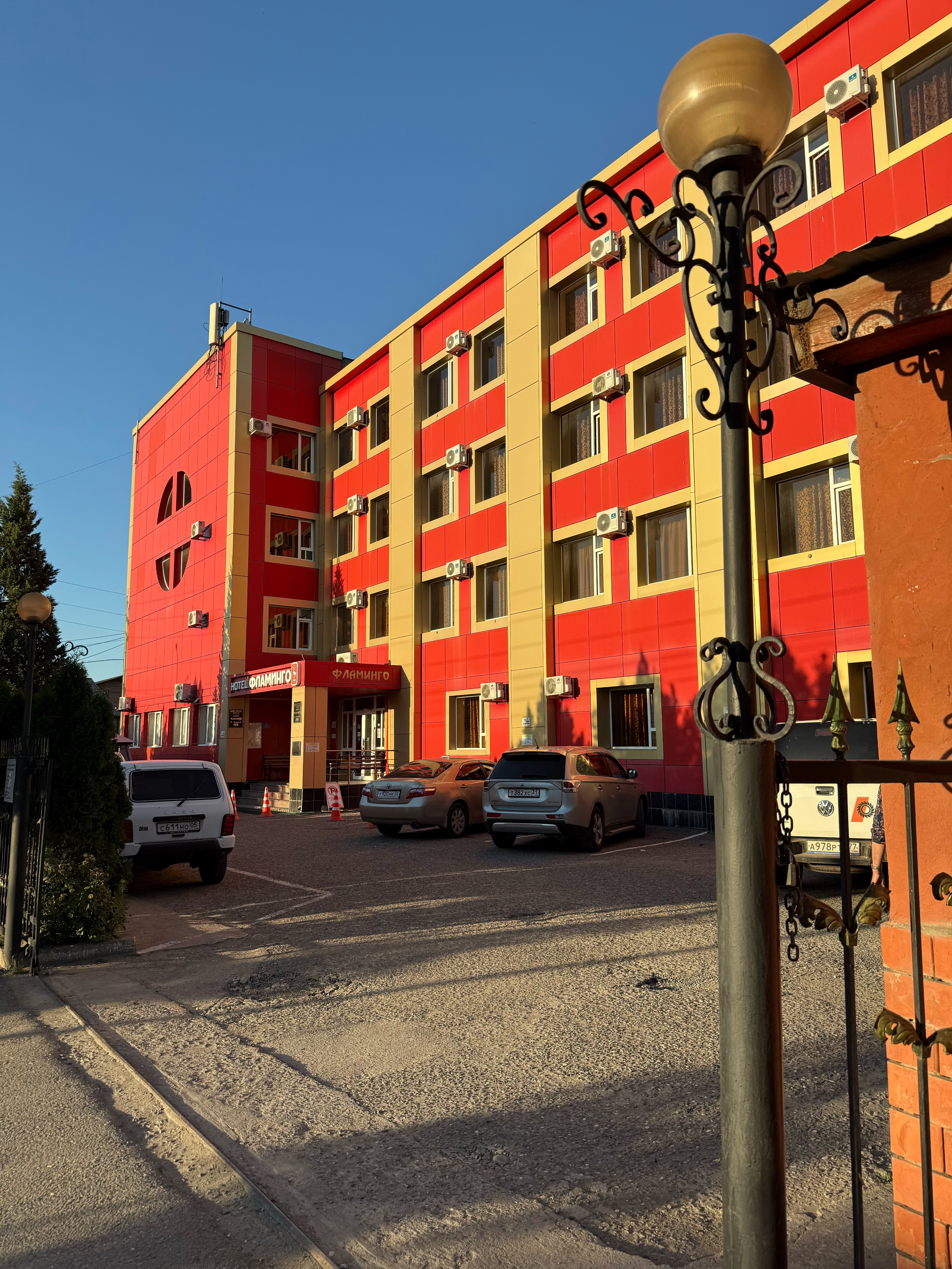 Фото Фламинго