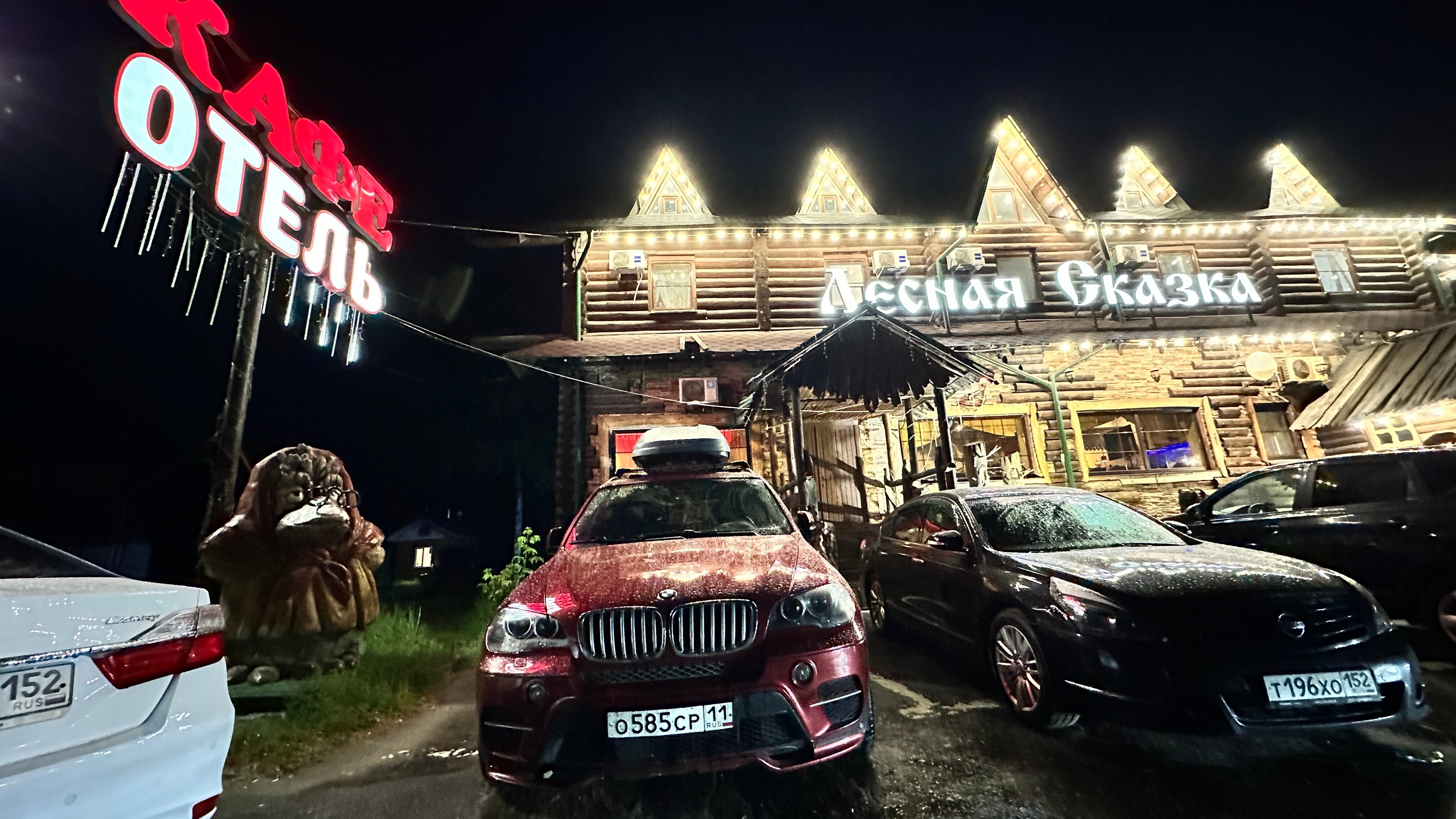 Фото Лесная сказка